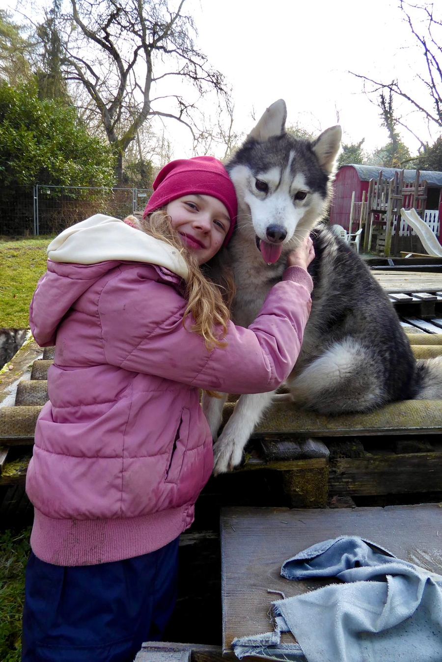 Ein Mädchen kuschelt mit einem Husky